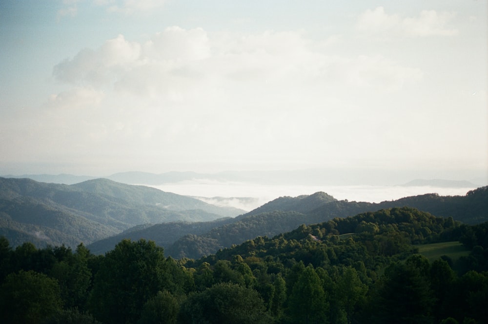 green trees on mountain under white sky during daytime