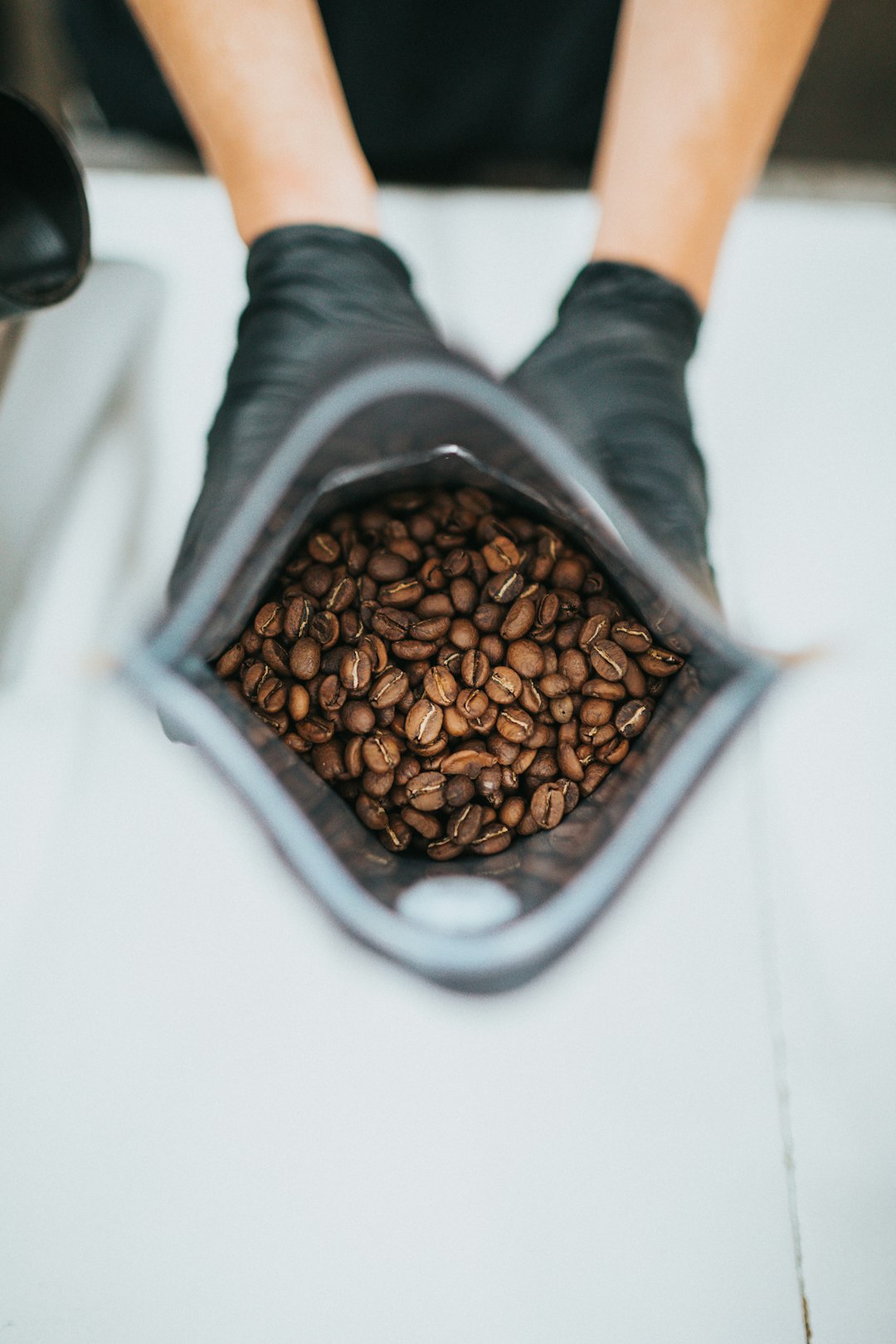 咖啡豆品種探索之旅：阿拉比卡與羅布斯塔之區，風味、香氣、酸度全解密