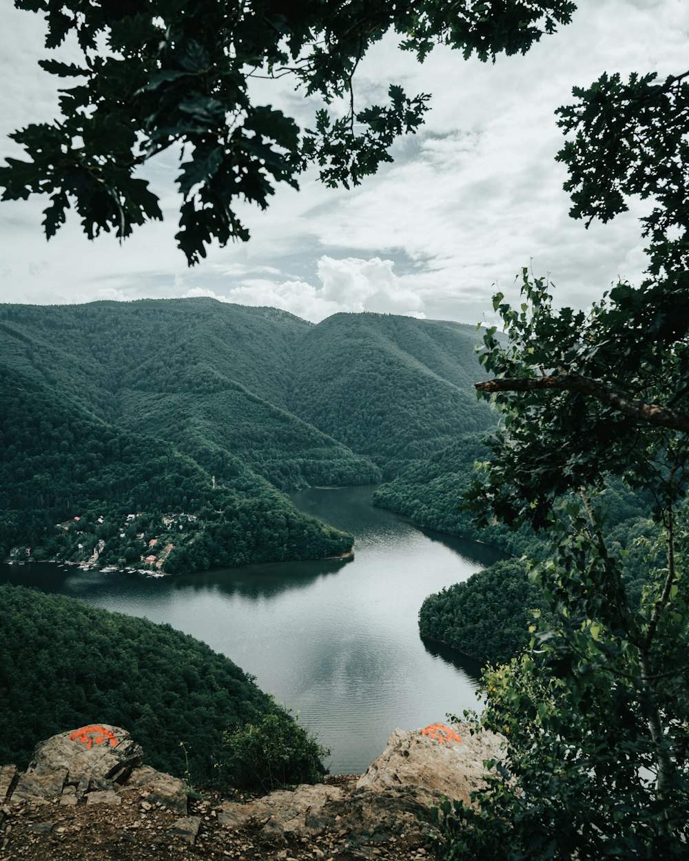 green trees near lake and mountains during daytime