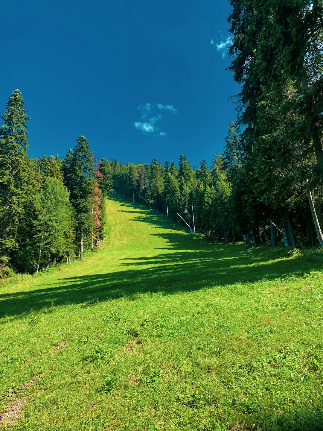 photo of Bulgaria Highland near Shipka