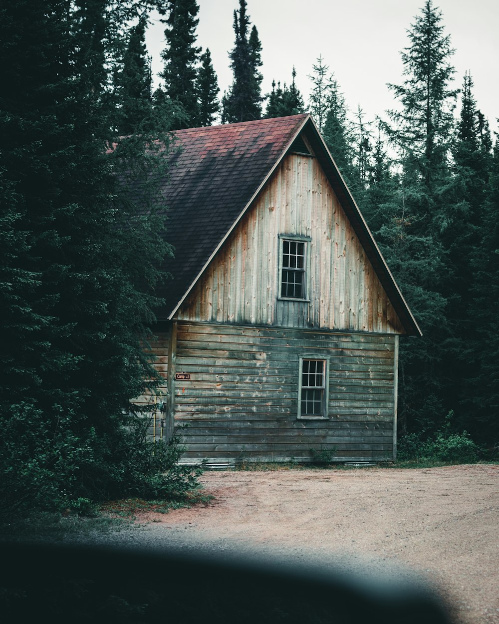 brown wooden house in the middle of forest