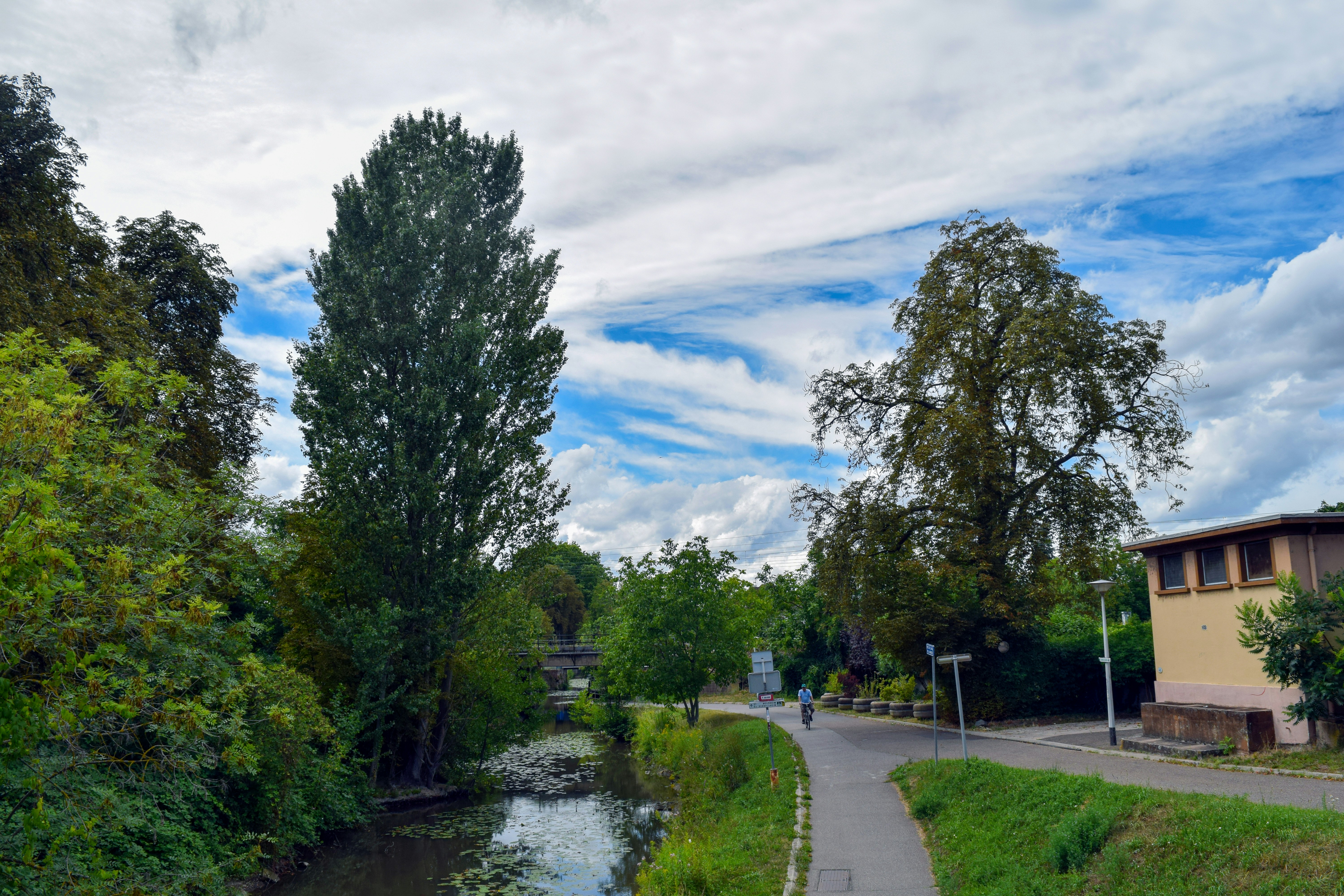 Pfarrgarten