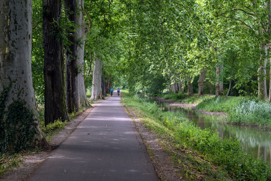 Forest photo spot Strasbourg Réding