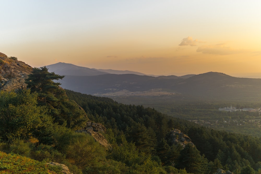 green trees on mountain during daytime