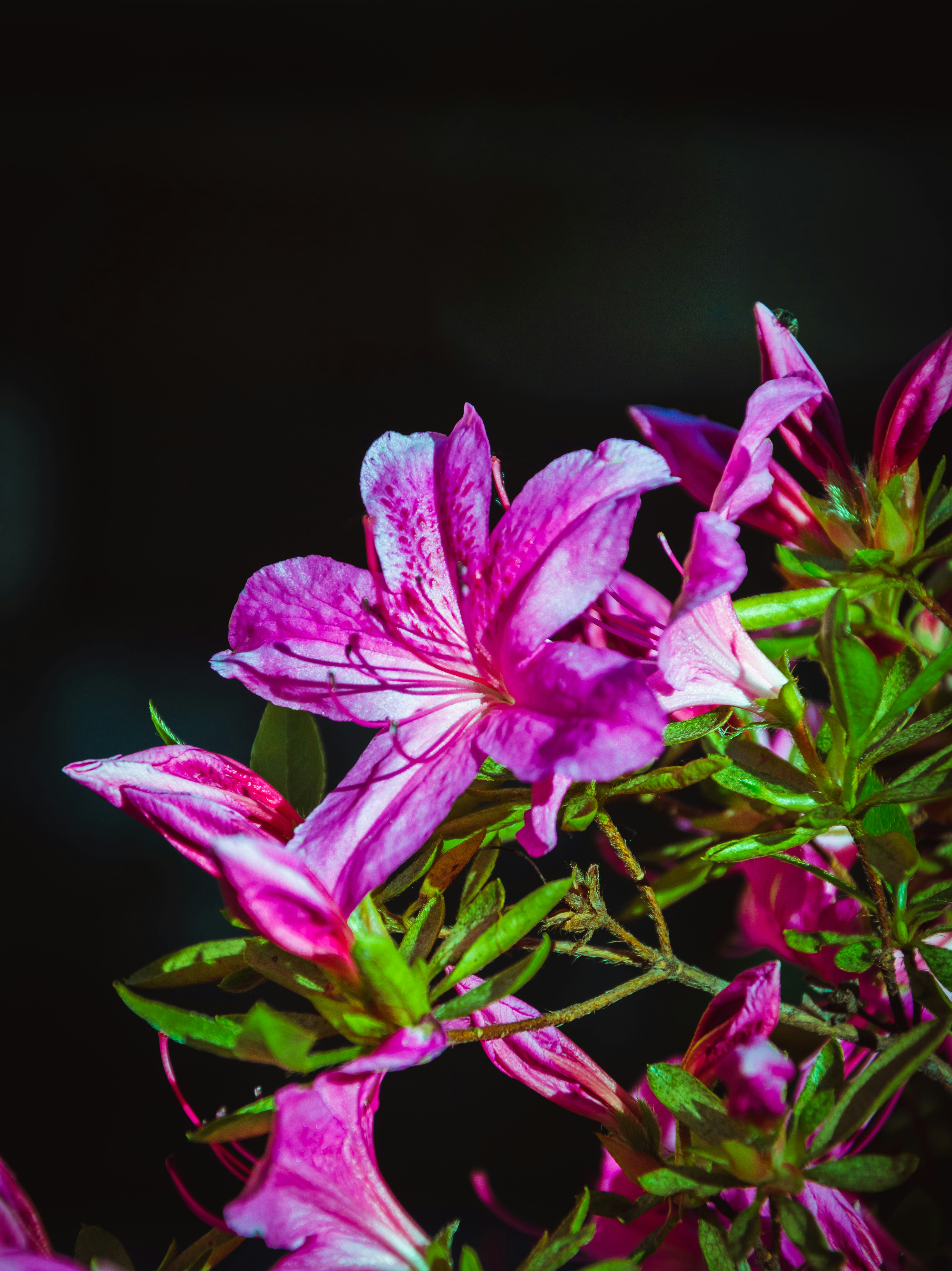 Photo by gabryelshots_