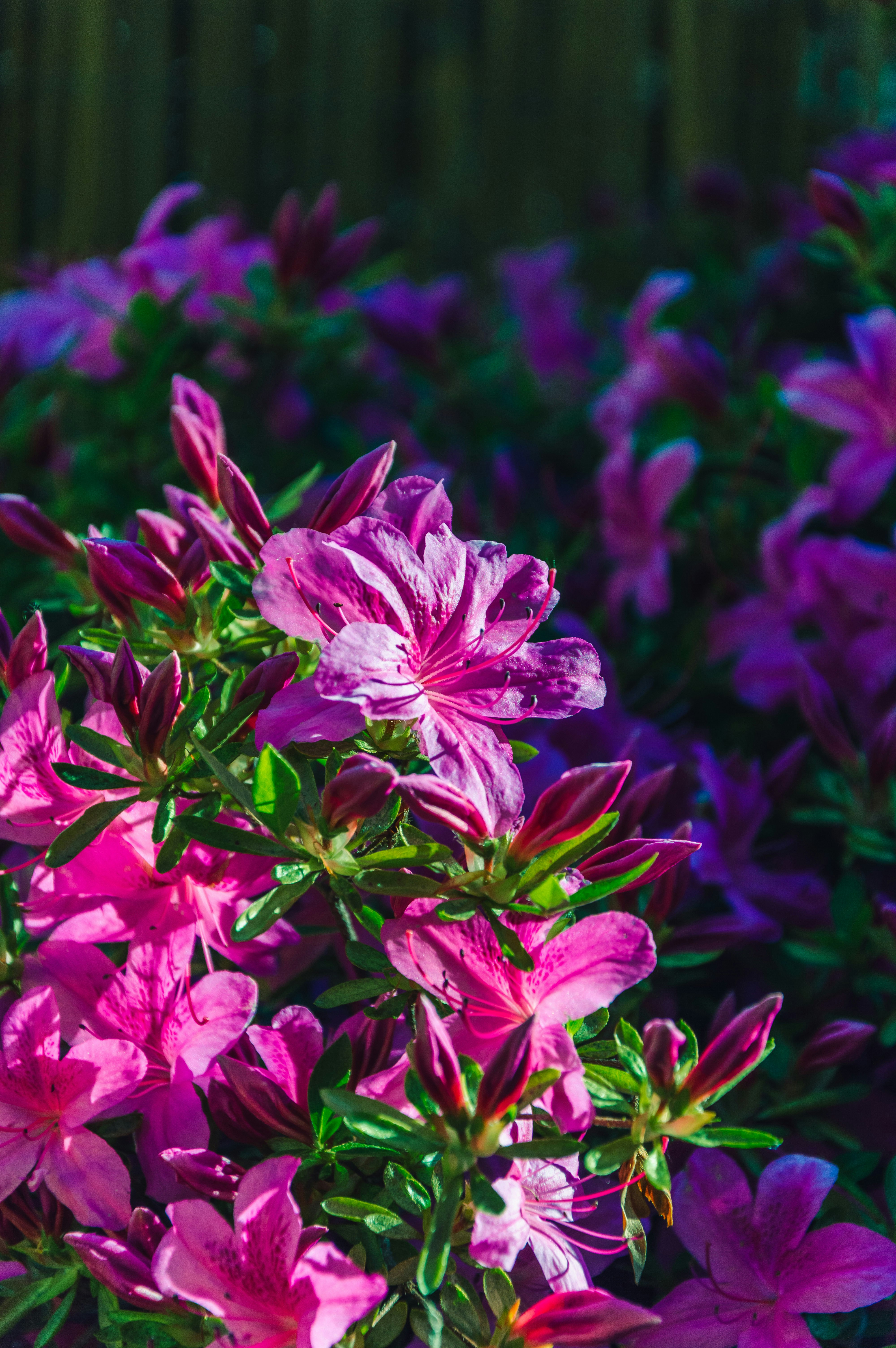 Photo by gabryelshots_