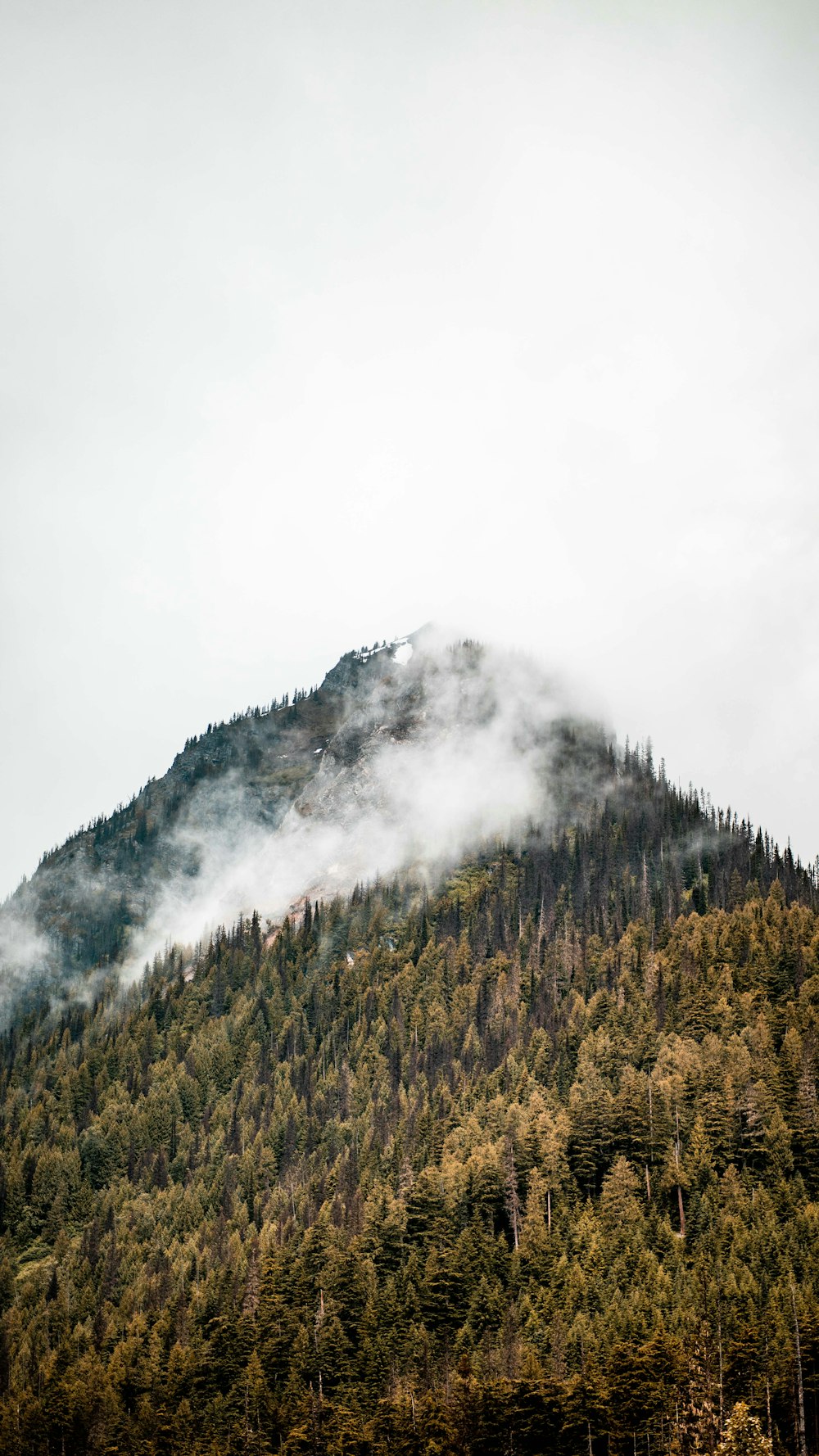 green and brown trees on mountain under white clouds during daytime