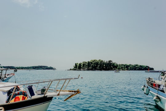 white and brown boat on sea during daytime in Pula Croatia