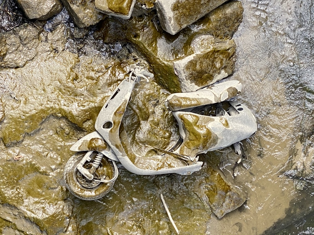 white plastic tool on gray rock