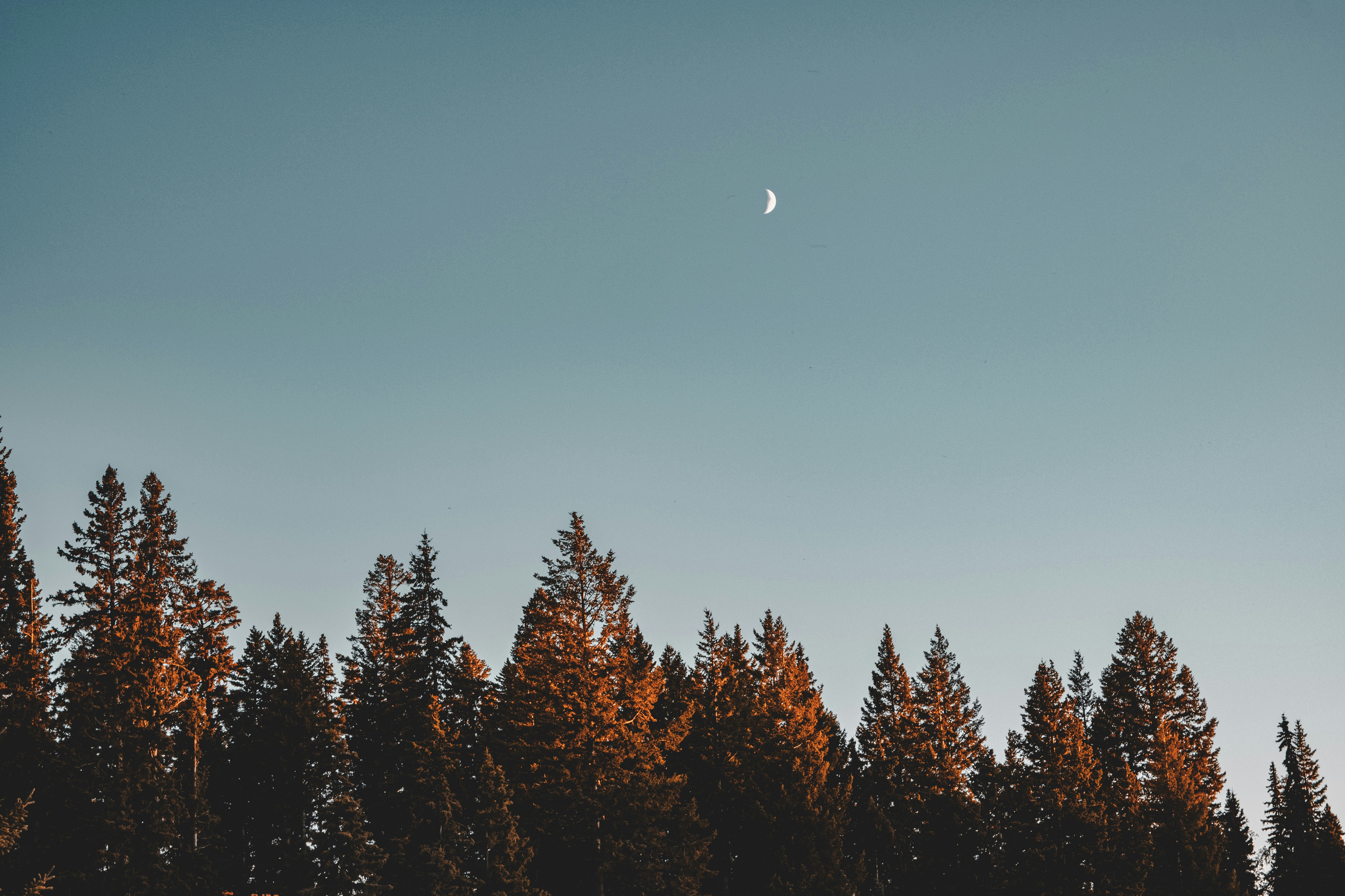 Photo by jessbarnett_