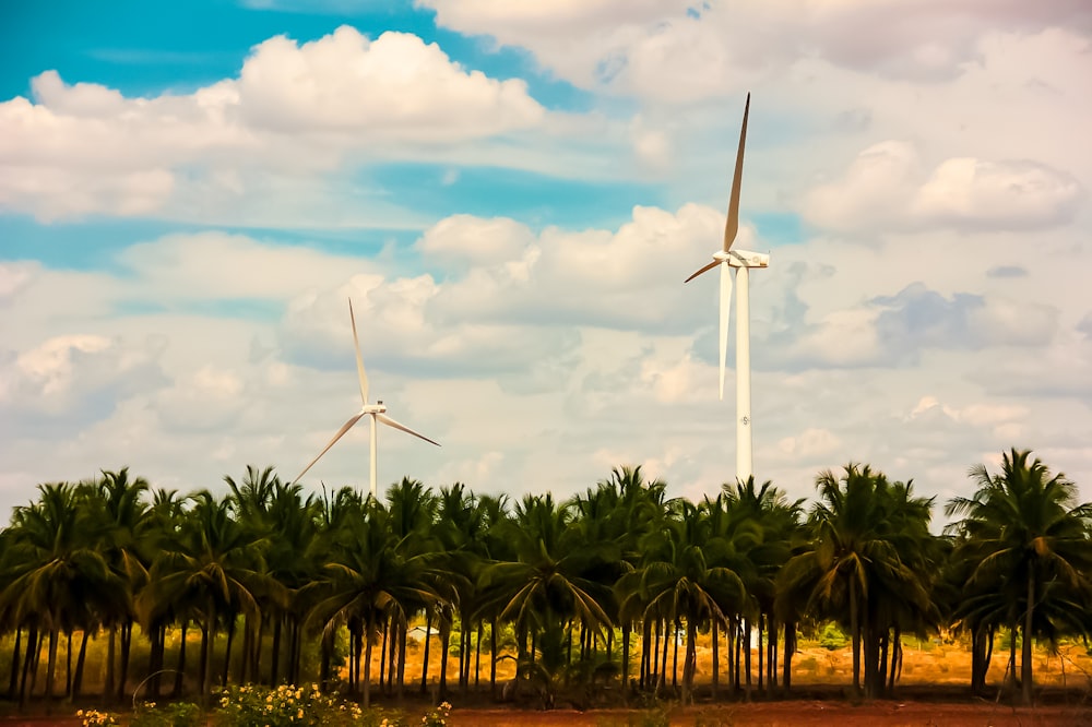 white wind turbine surrounded by palm trees under blue sky and white clouds during daytime