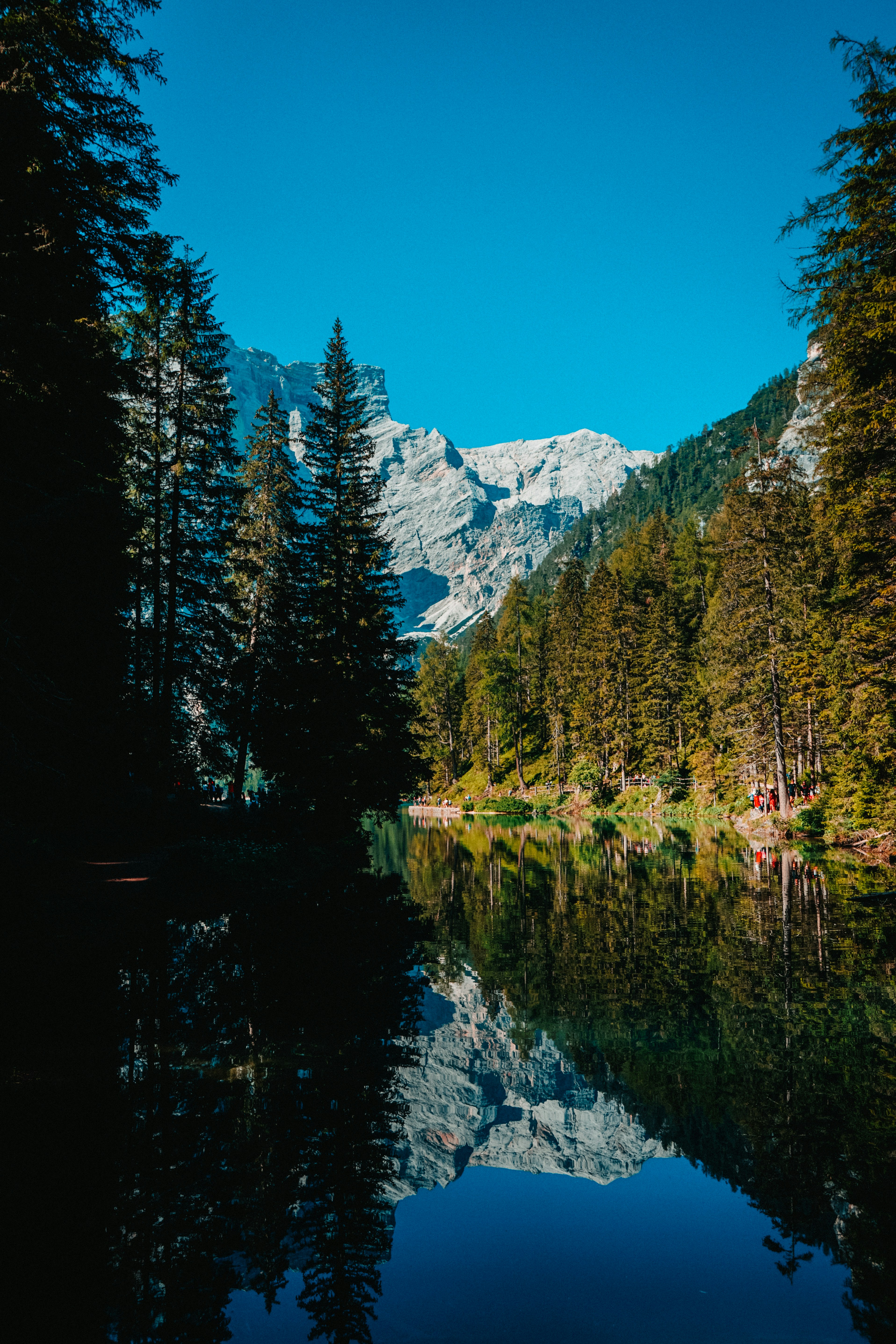 Photo by giovanni1304