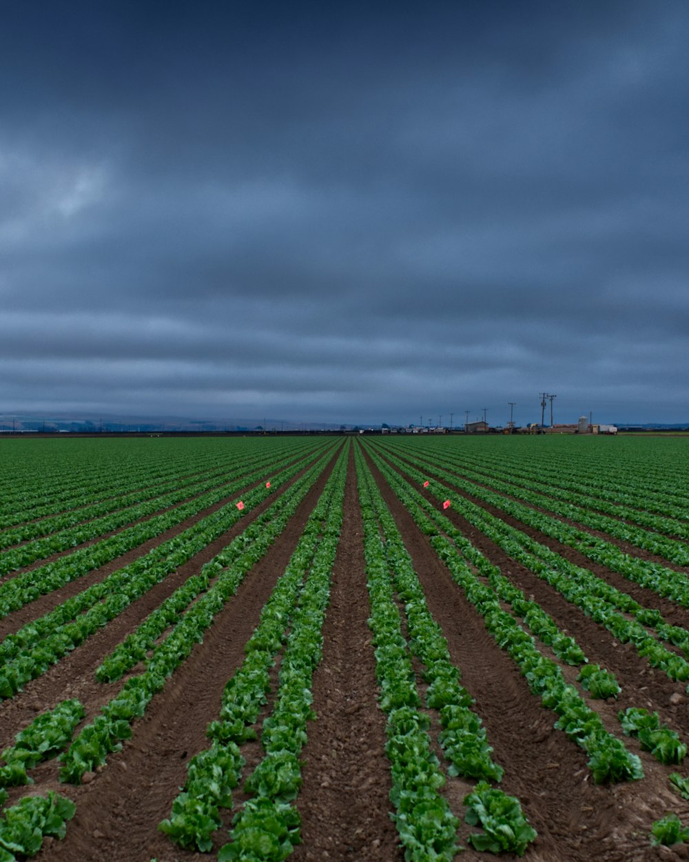 green grass field under cloudy sky during daytime