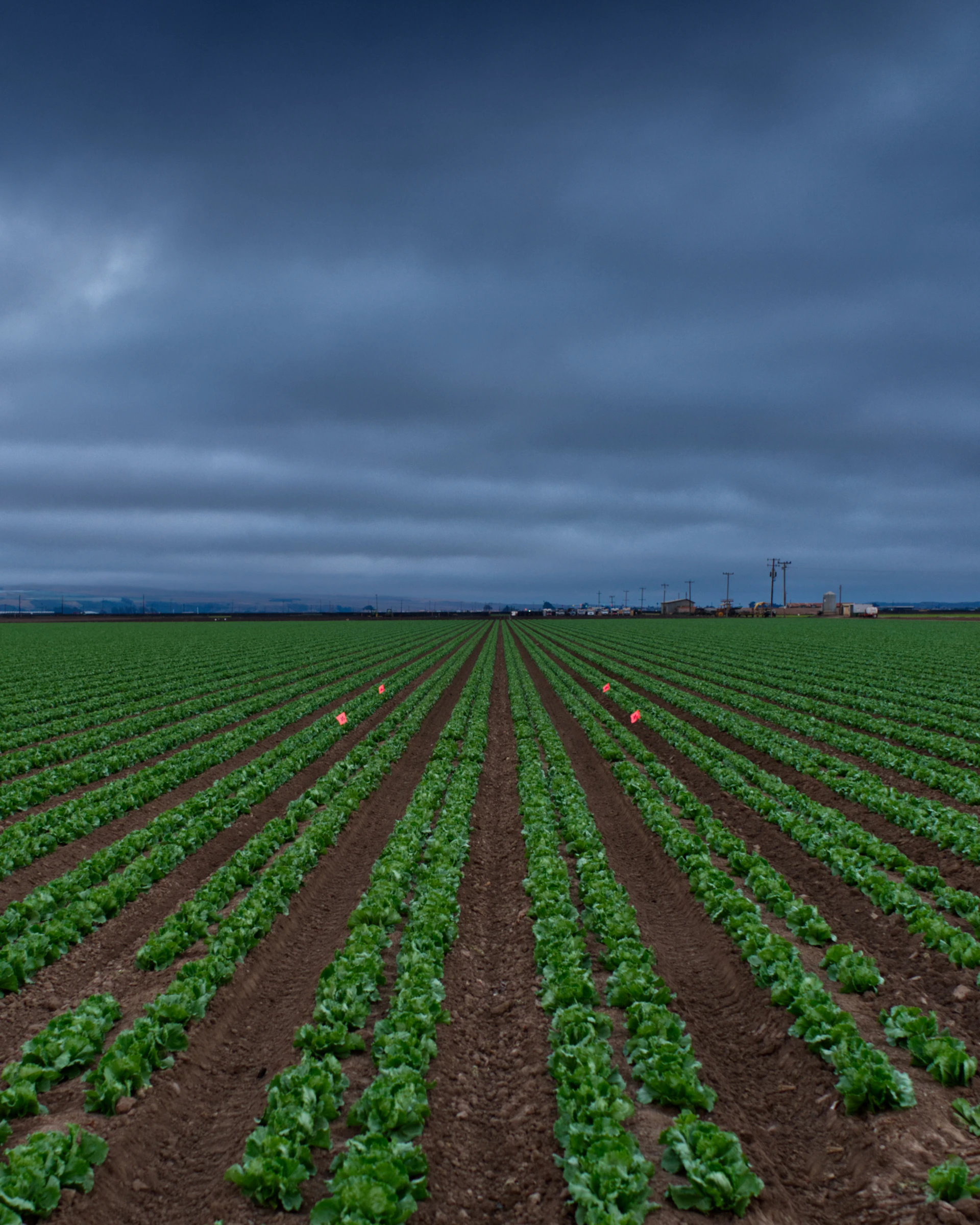 green grass field under cloudy sky during daytime