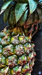 Soft Pineapple Yarn