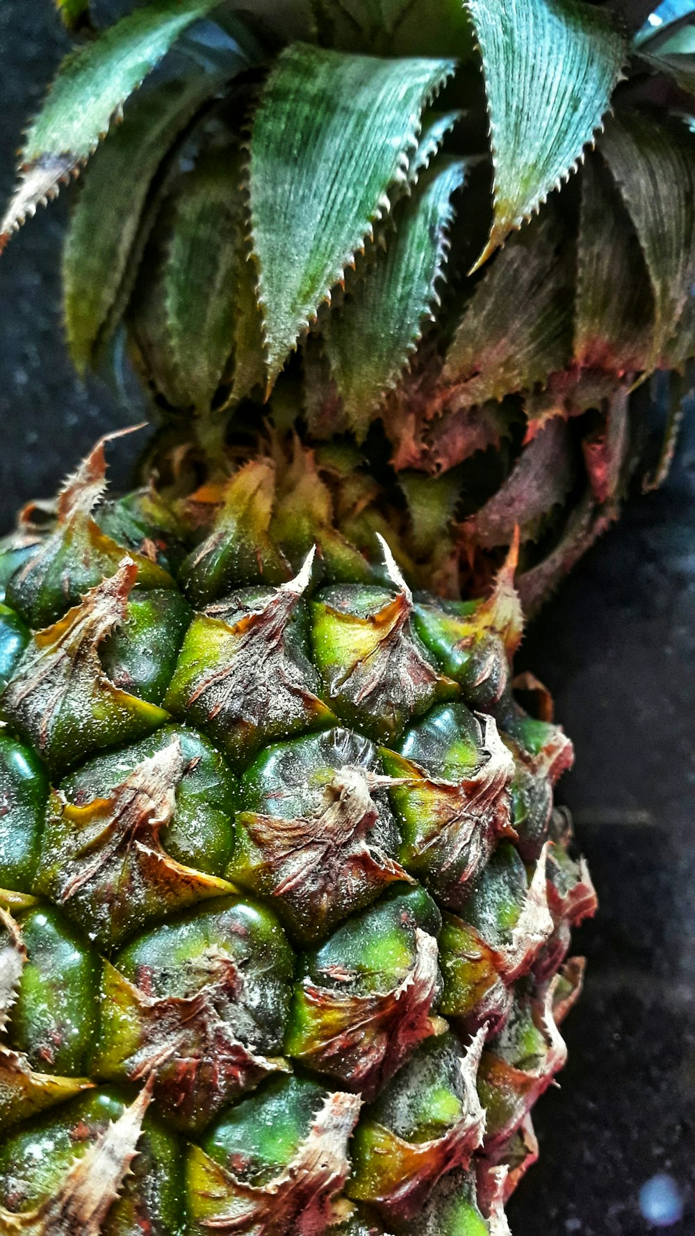 green and brown pineapple fruit