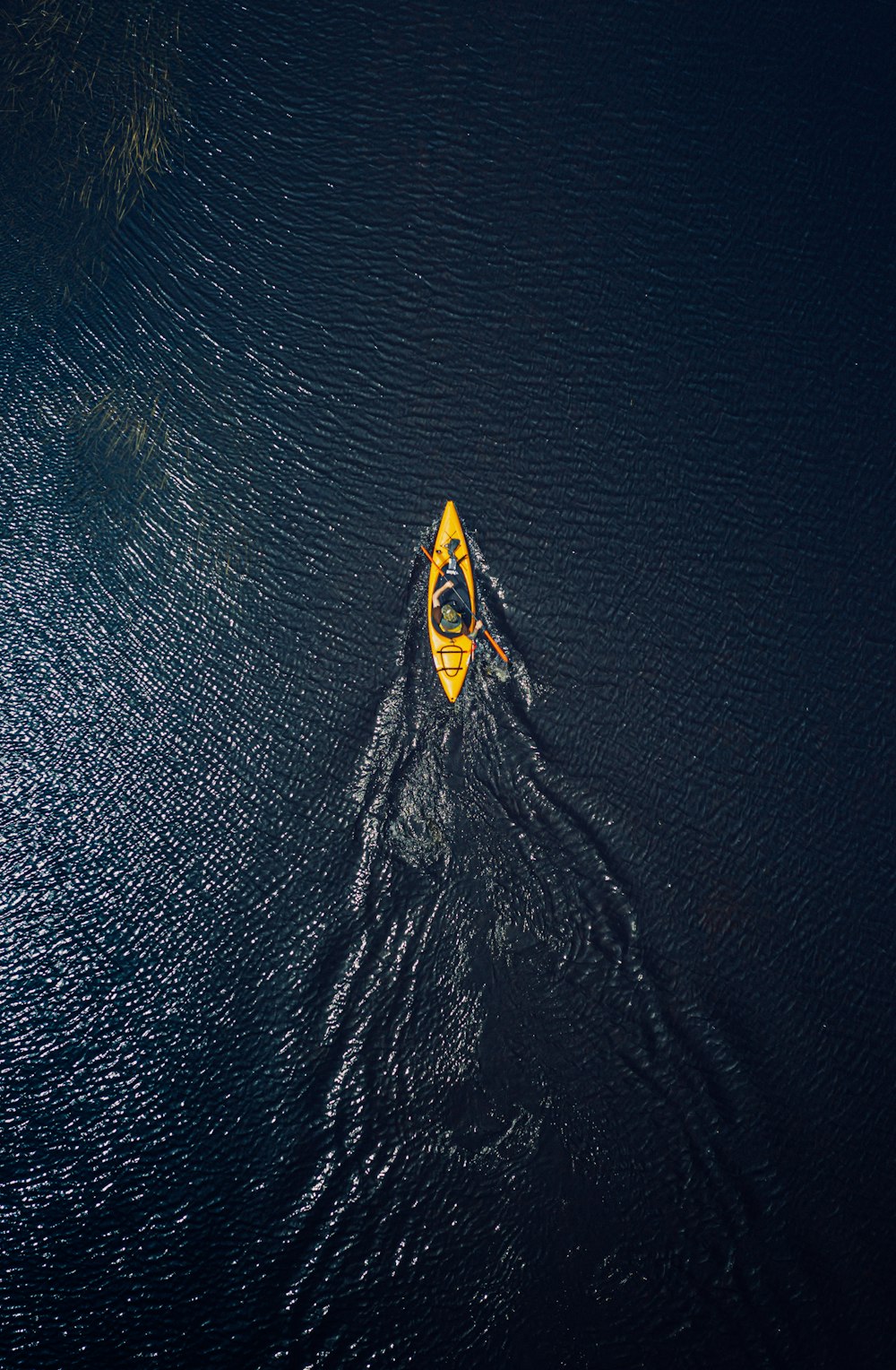 水域に黄色と黒のサーフボード