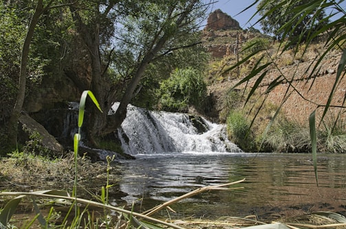 A peaceful mikveh pool surrounded by natural stone and gentle greenery.
