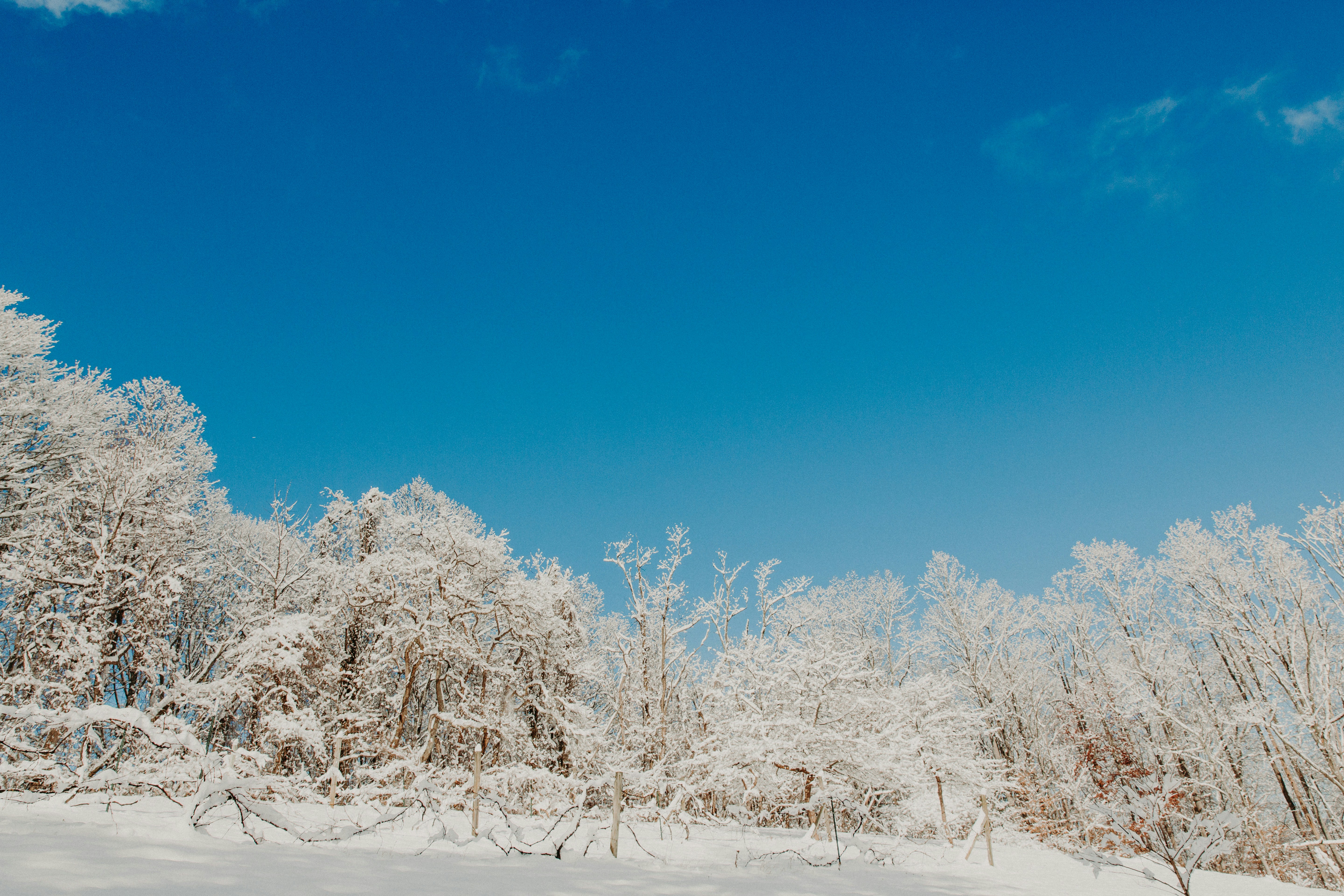 Photo by taylorheeryphoto