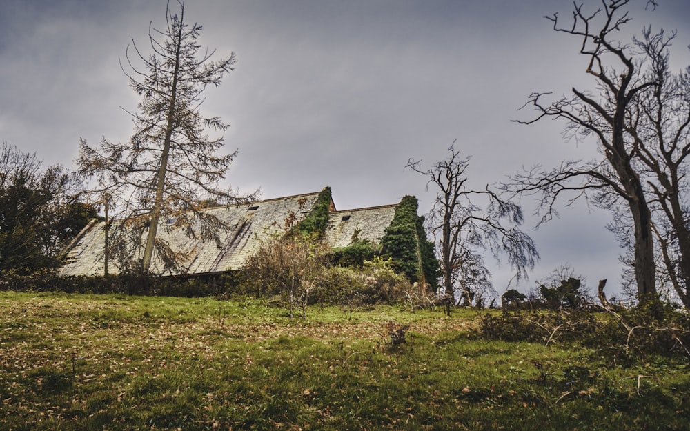 brown concrete house near bare trees under gray sky