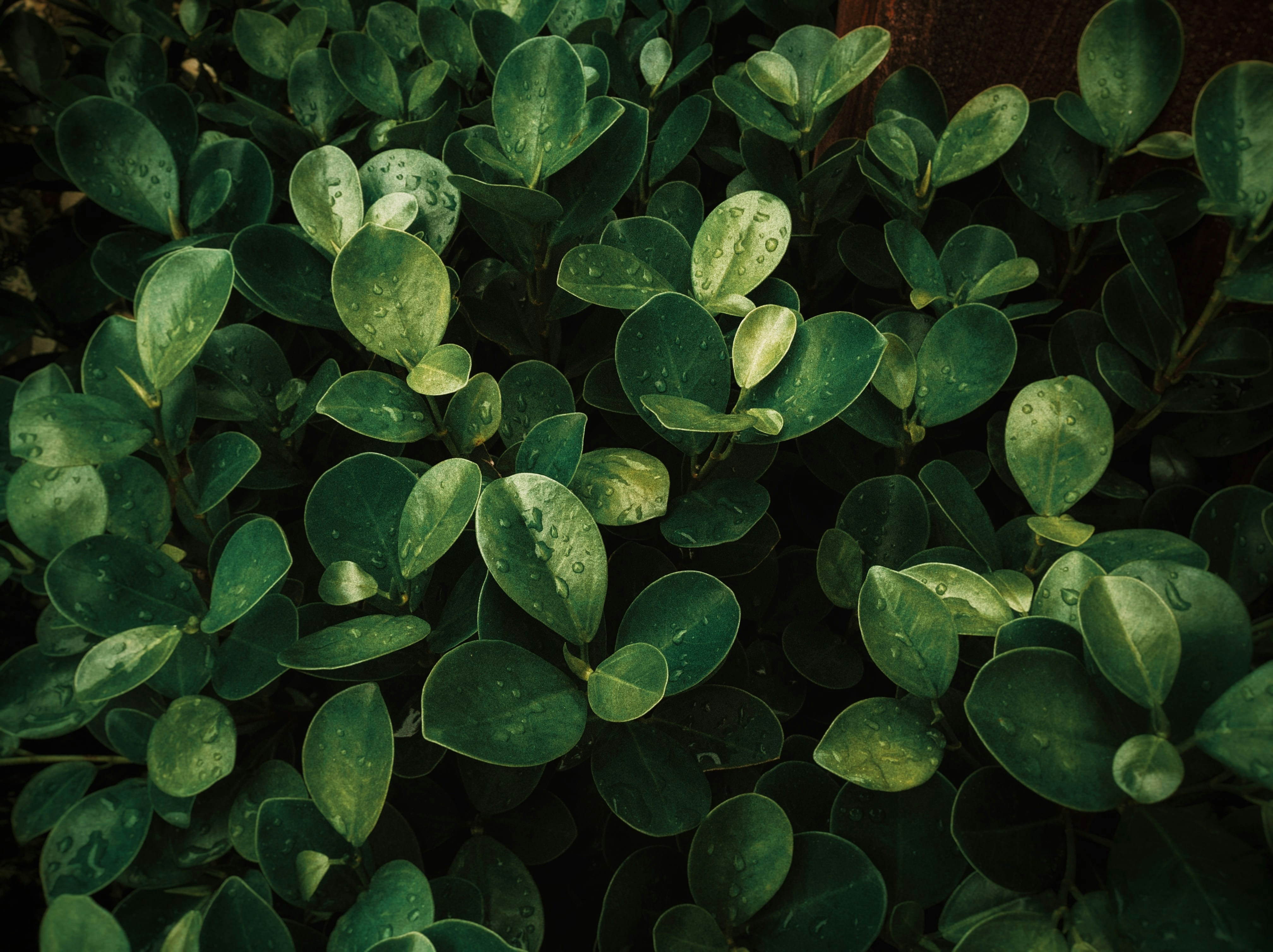 Photo by phogatshubham55