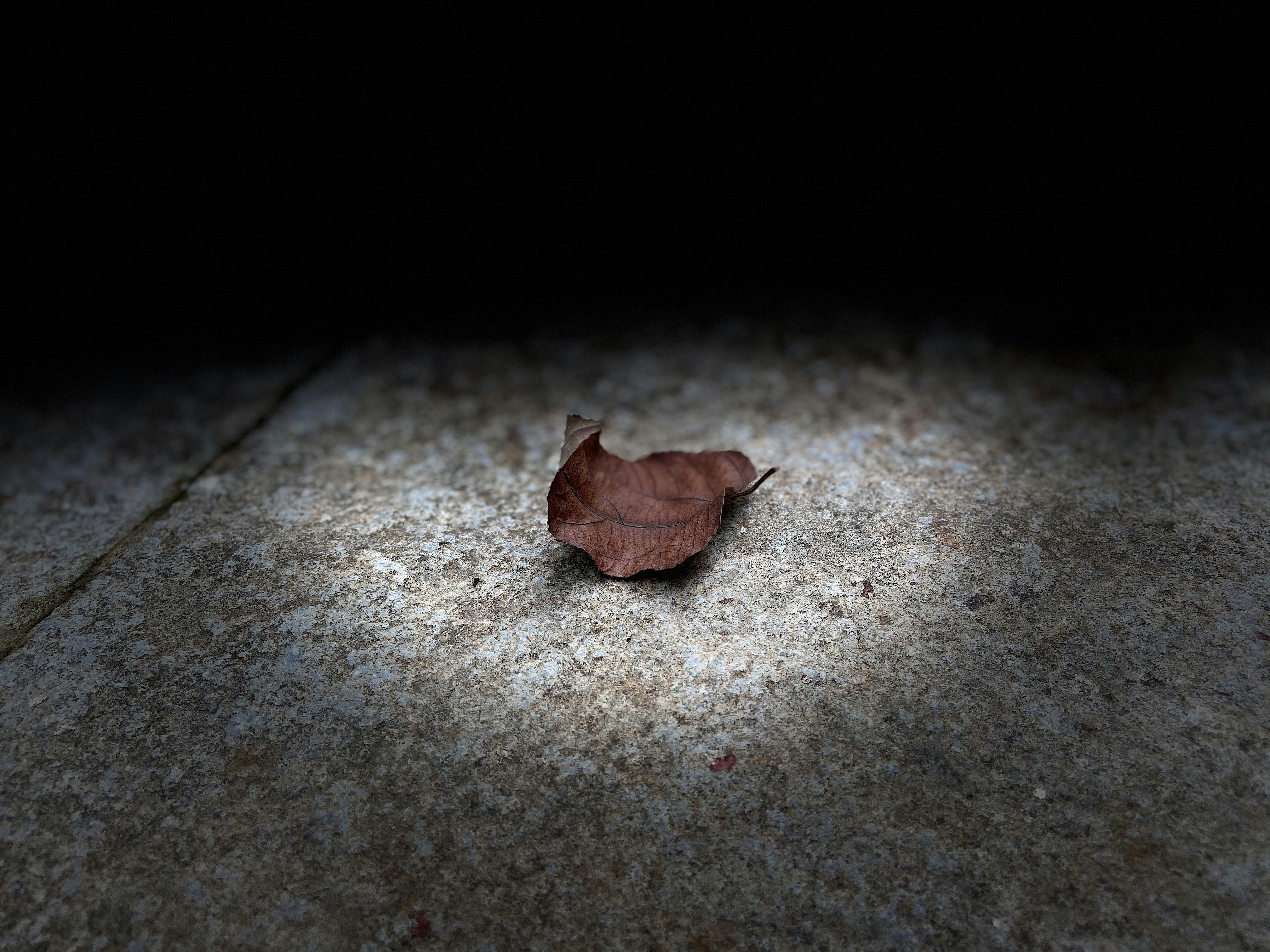 ISLAMIC ECONOMY AND CIRCULAR ECONOMY