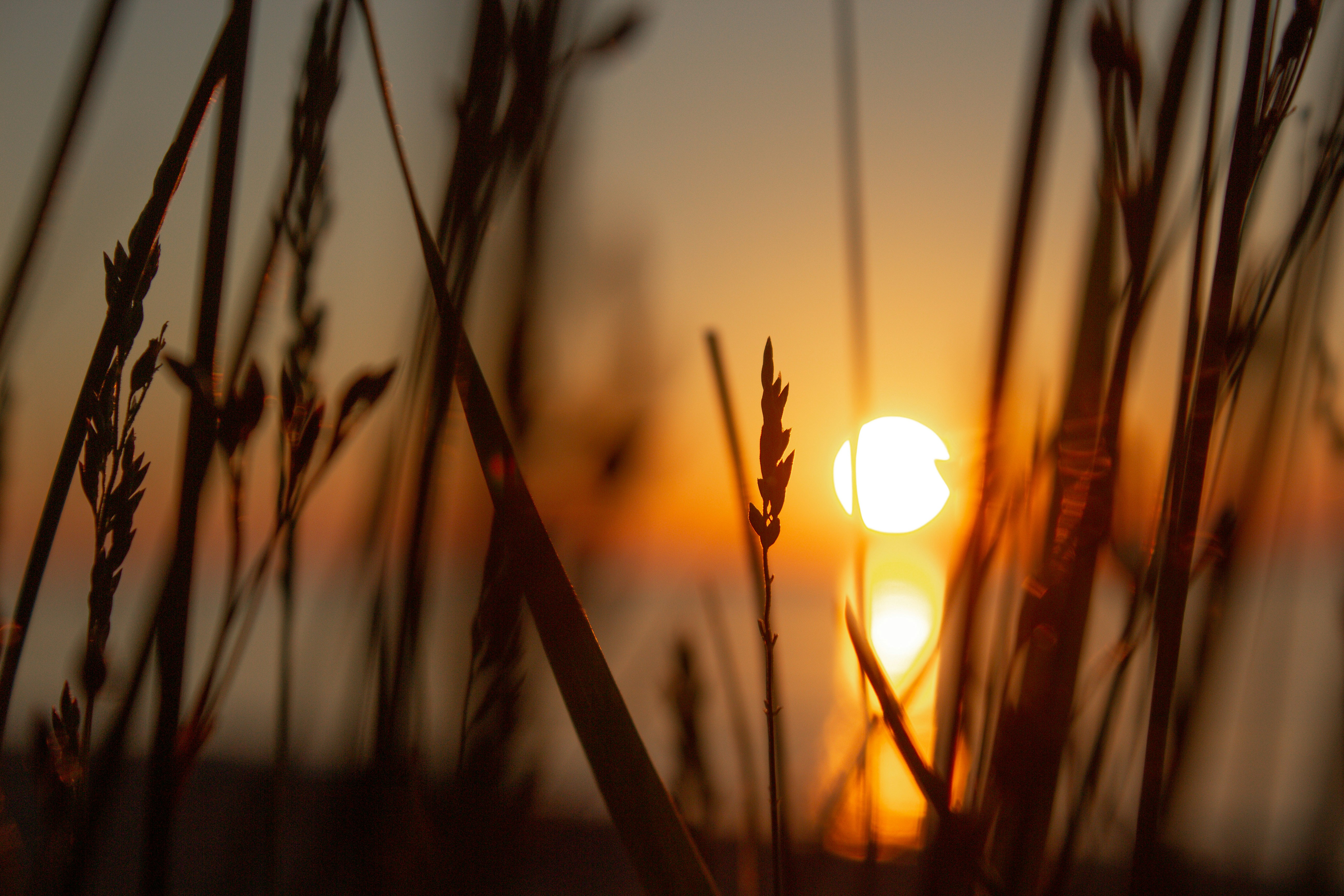 Photo by joyfulcaptures