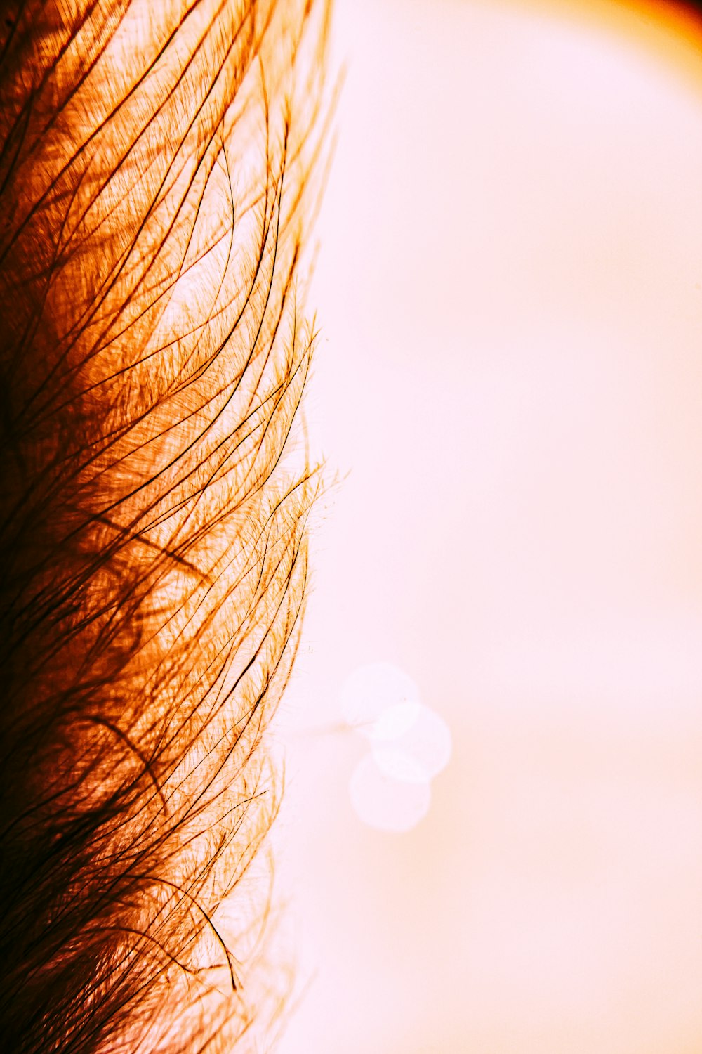 persons brown hair in close up photography