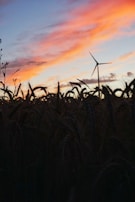A peaceful landscape showing a wind turbine silhouetted against a colorful sunset at an NCCSX project site.