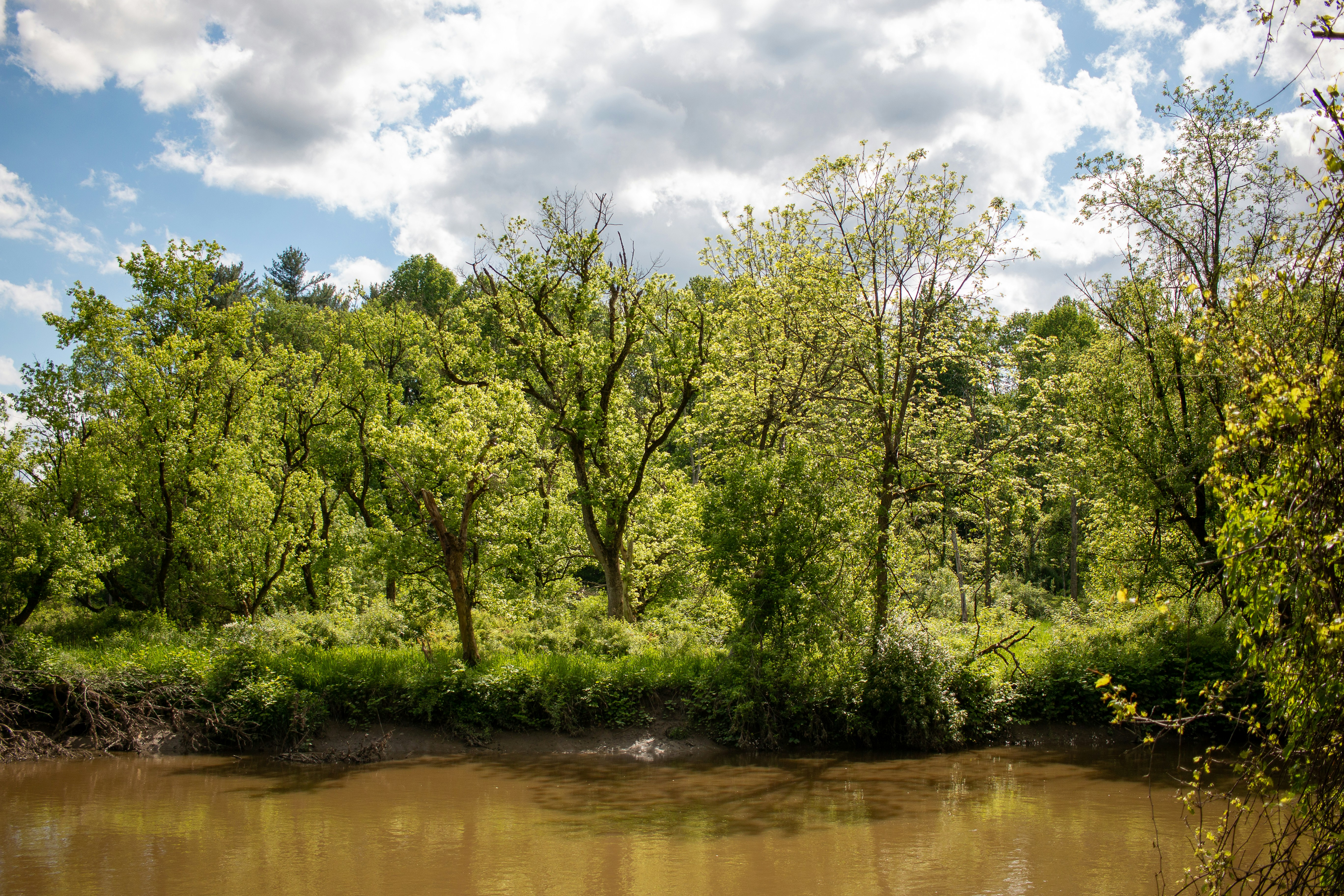 Photo by drkolomiyets