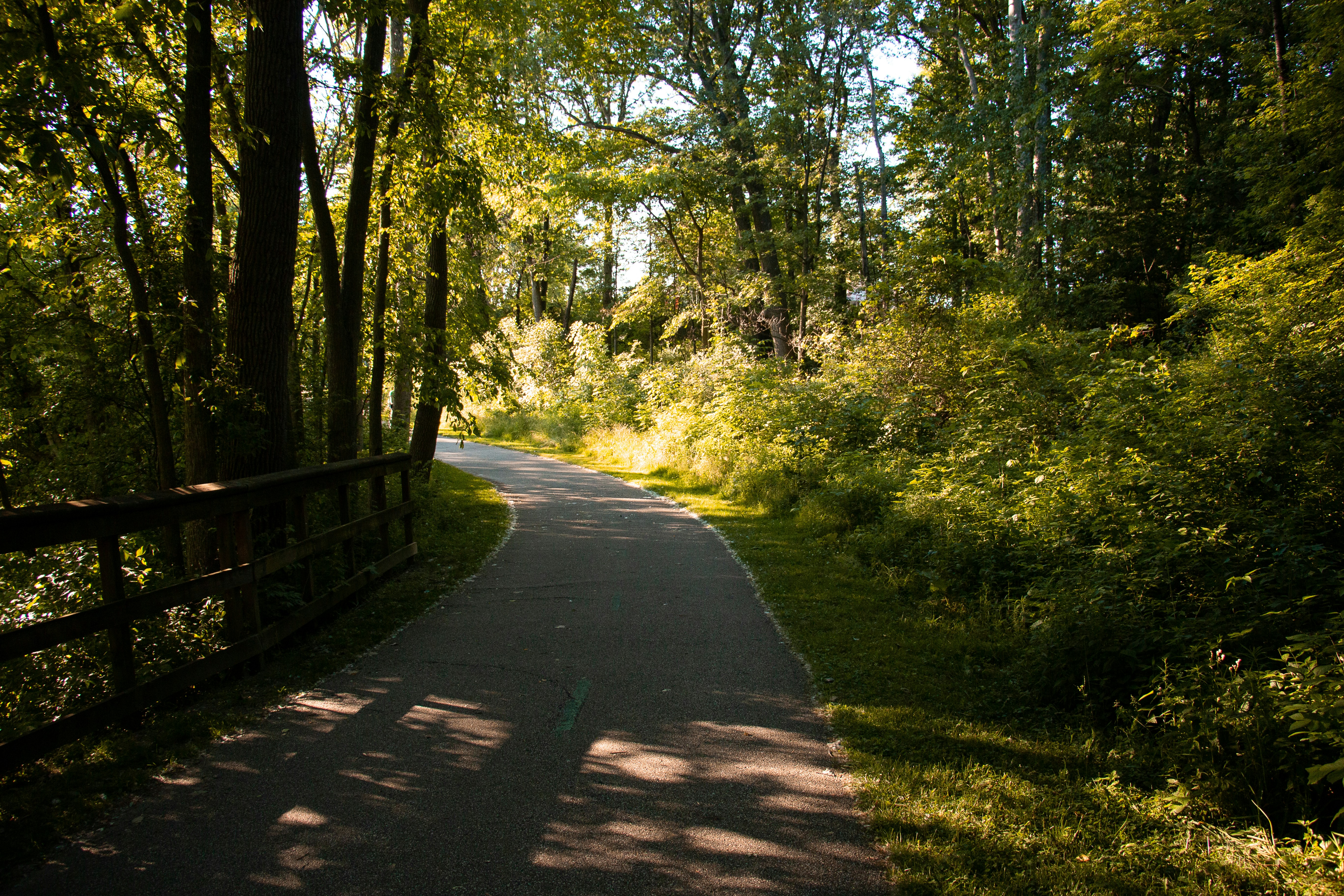 Photo by drkolomiyets