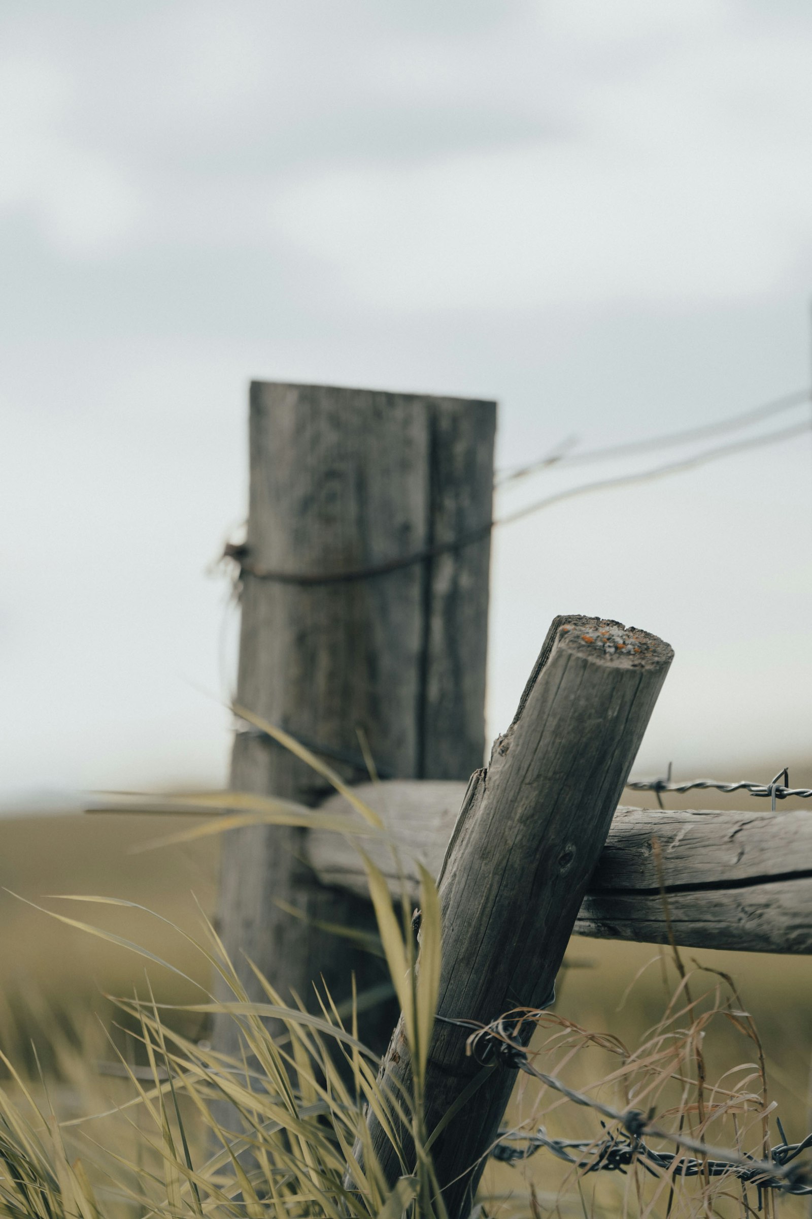 ZEISS Batis 135mm F2.8 sample photo. Brown wooden fence on photography