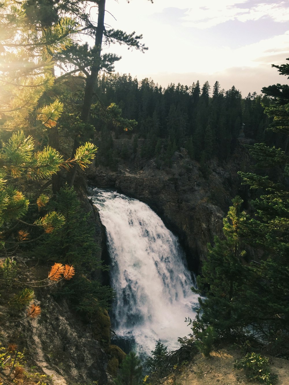 waterfalls in the middle of forest during daytime