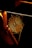 A spider web is illuminated by a warm orange light, intricately woven and set against a dark background. The web's geometric patterns are highlighted, and it is anchored to a piece of metal machinery.
