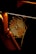 A spider web is illuminated by a warm orange light, intricately woven and set against a dark background. The web's geometric patterns are highlighted, and it is anchored to a piece of metal machinery.
