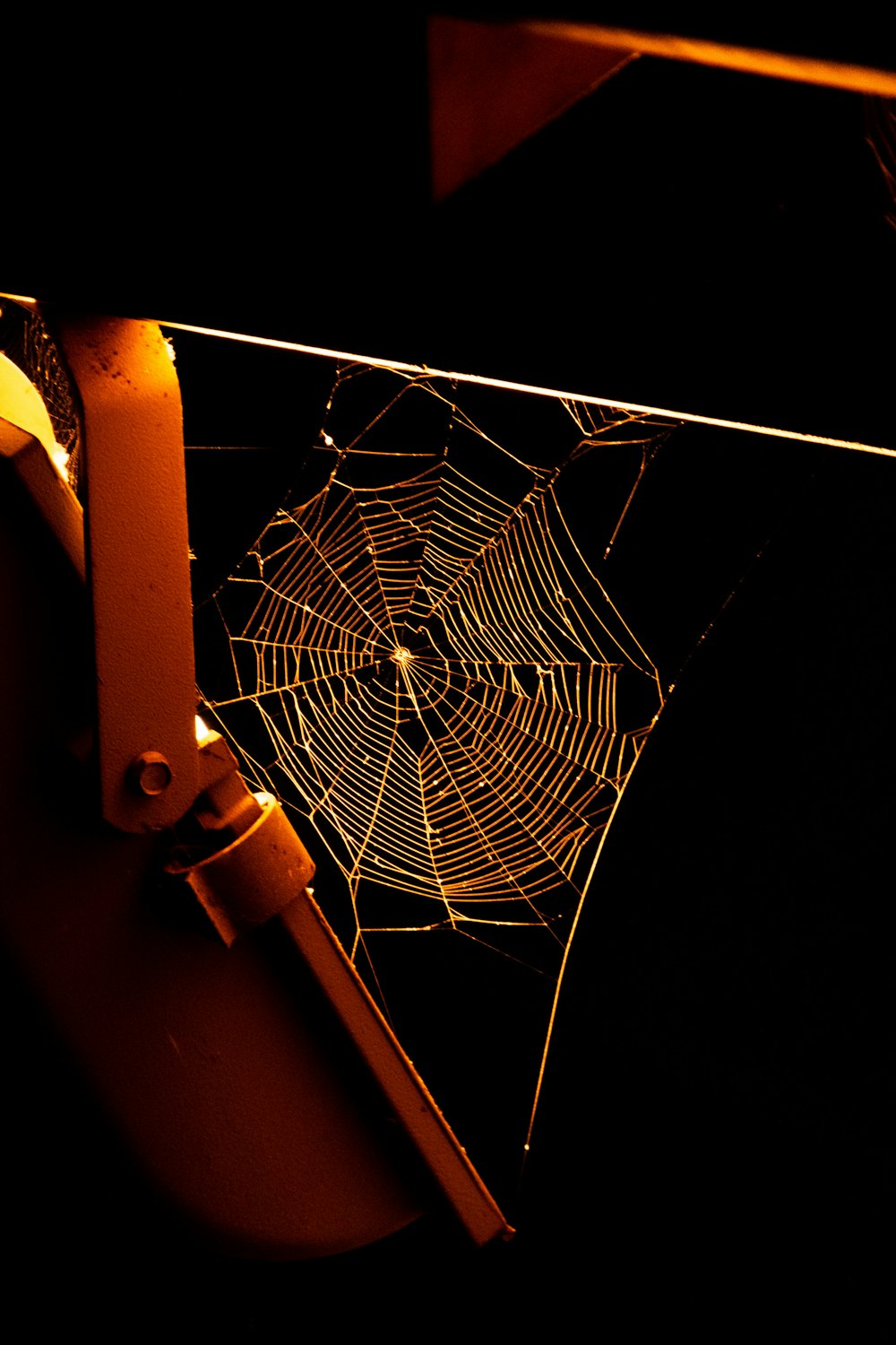 spider web on brown wooden frame