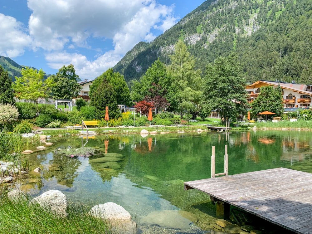 people walking on wooden dock near green trees and mountain during daytime