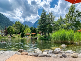 Families and friends swimming and relaxing by a clear pond surrounded by trees.