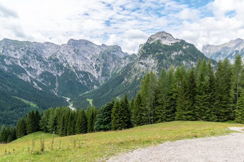 green pine trees near mountain under white clouds and blue sky during daytime