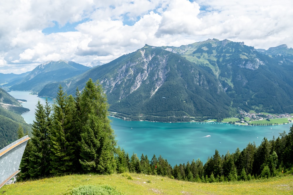 green trees near blue lake under blue sky during daytime