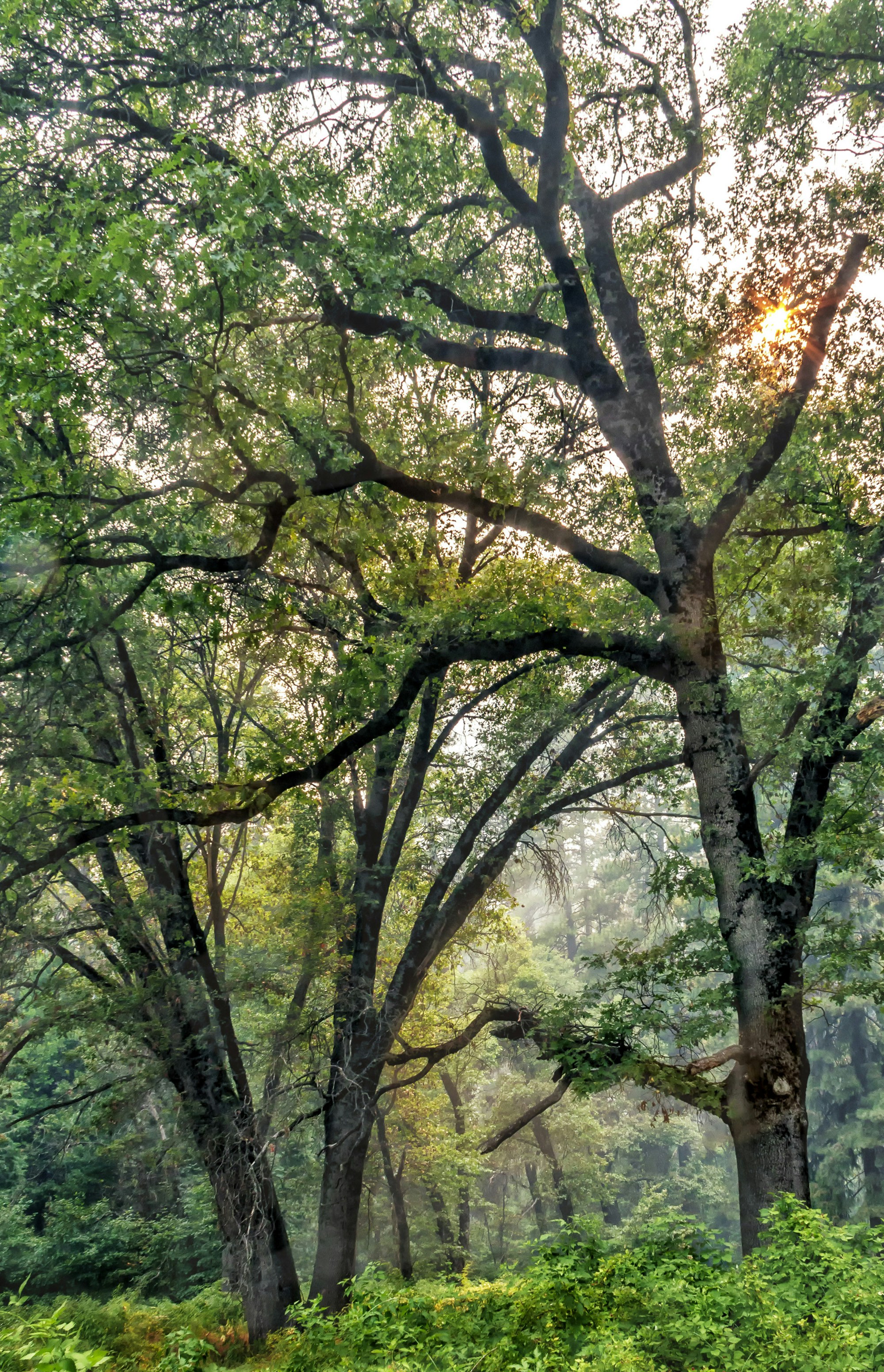 Photo by sterlinglanier