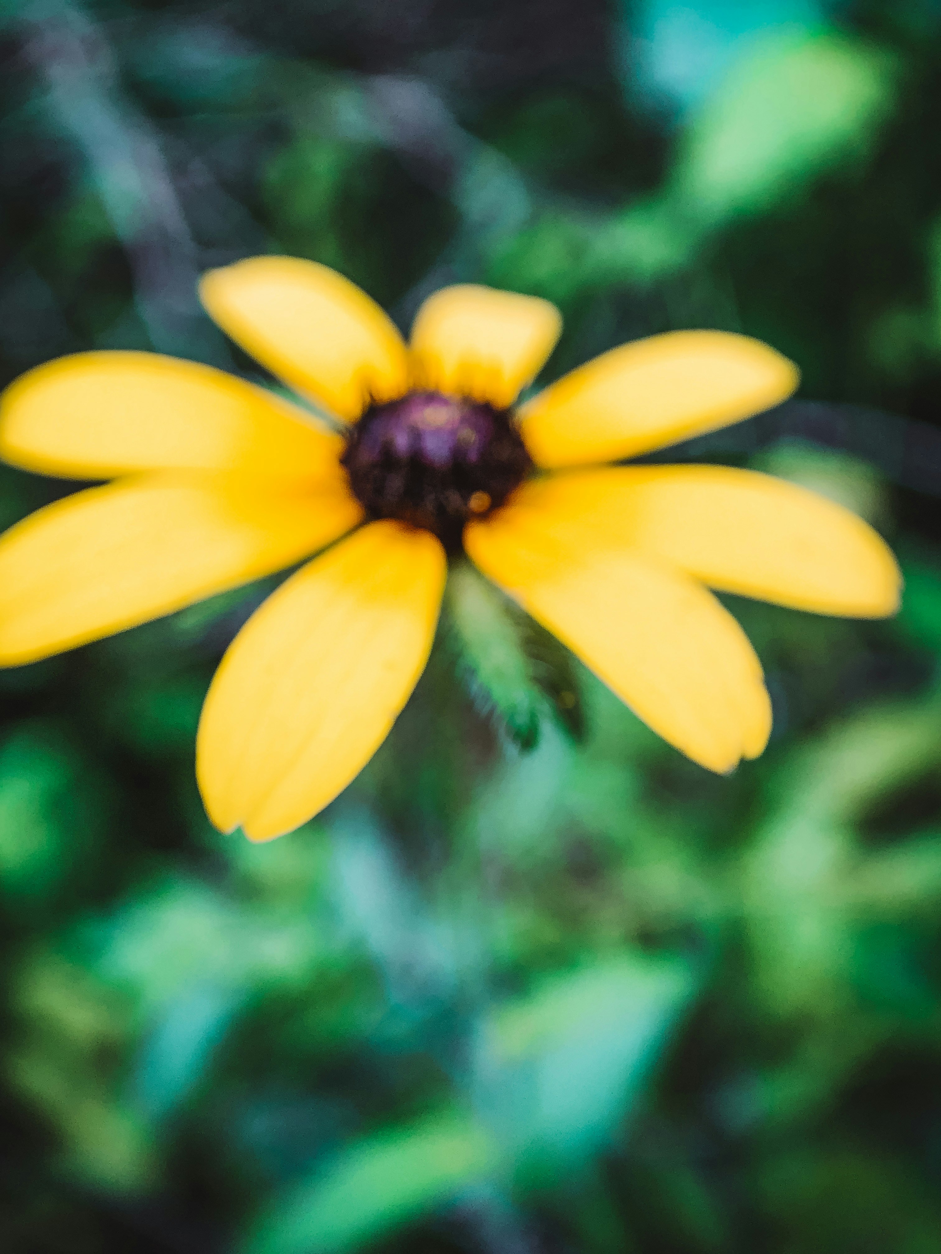 Photo by framesforyourheart