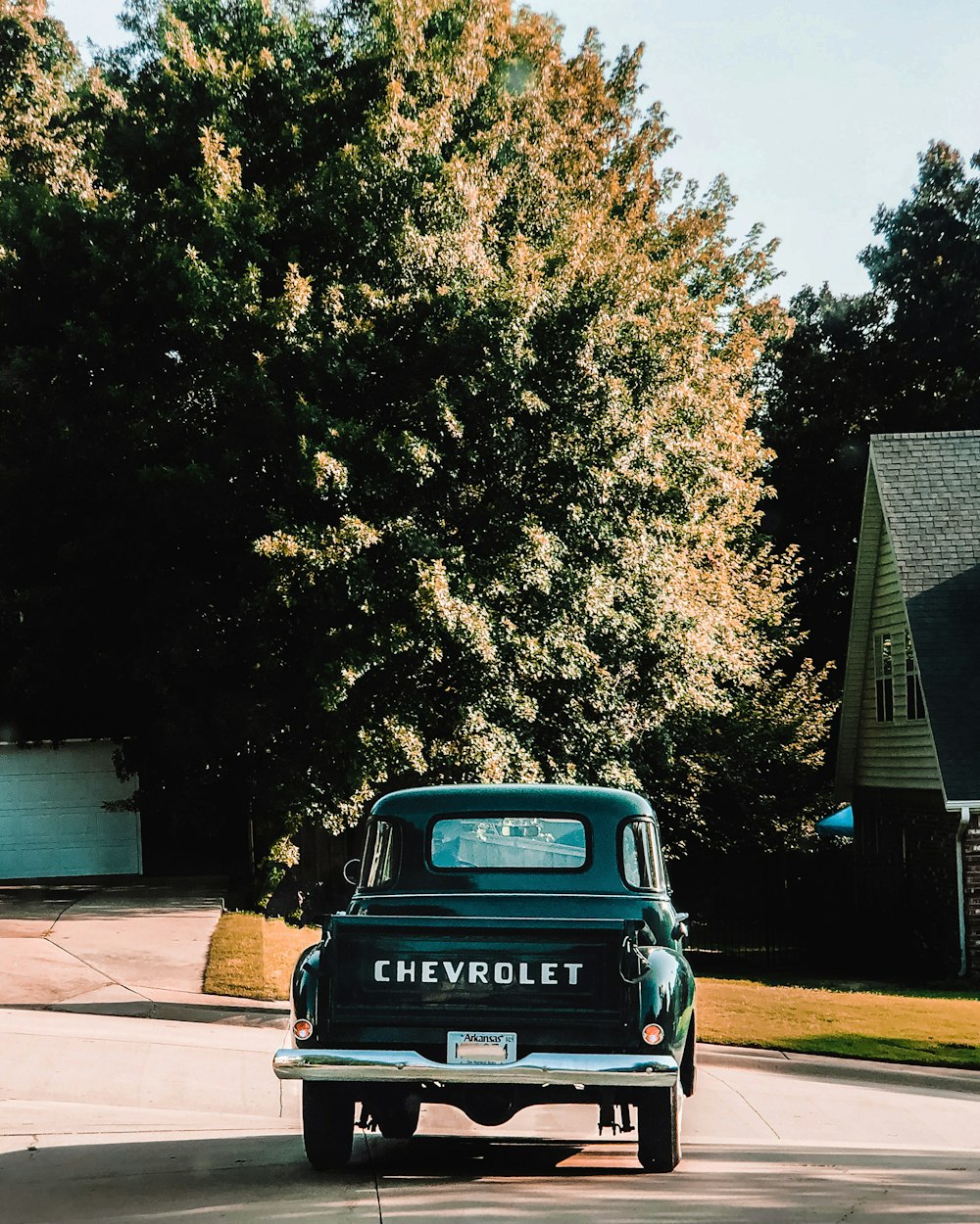 black car parked near green tree during daytime