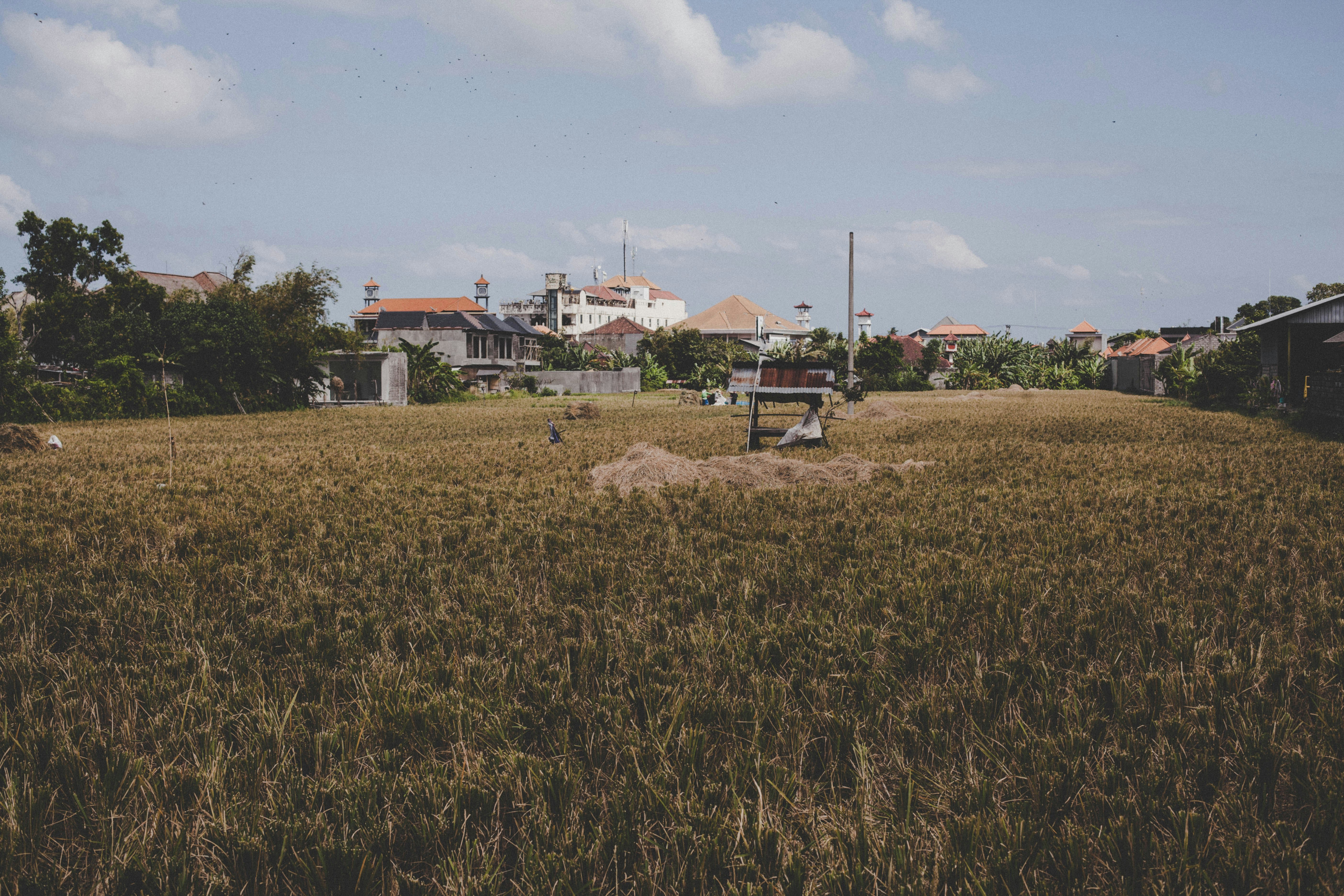 Bali – Safety, Health & Local Etiquette