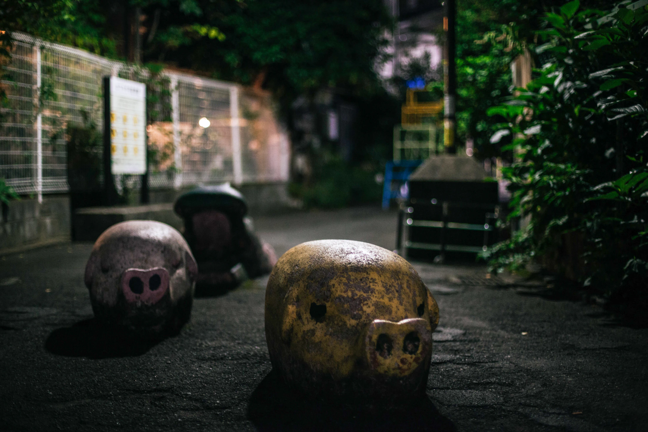 Photo · Kvnga / Unsplash
