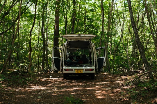 black and white volkswagen t-1 in forest during daytime in Mount Fuji Japan