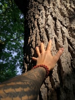 a hand reaching up to a tree trunk