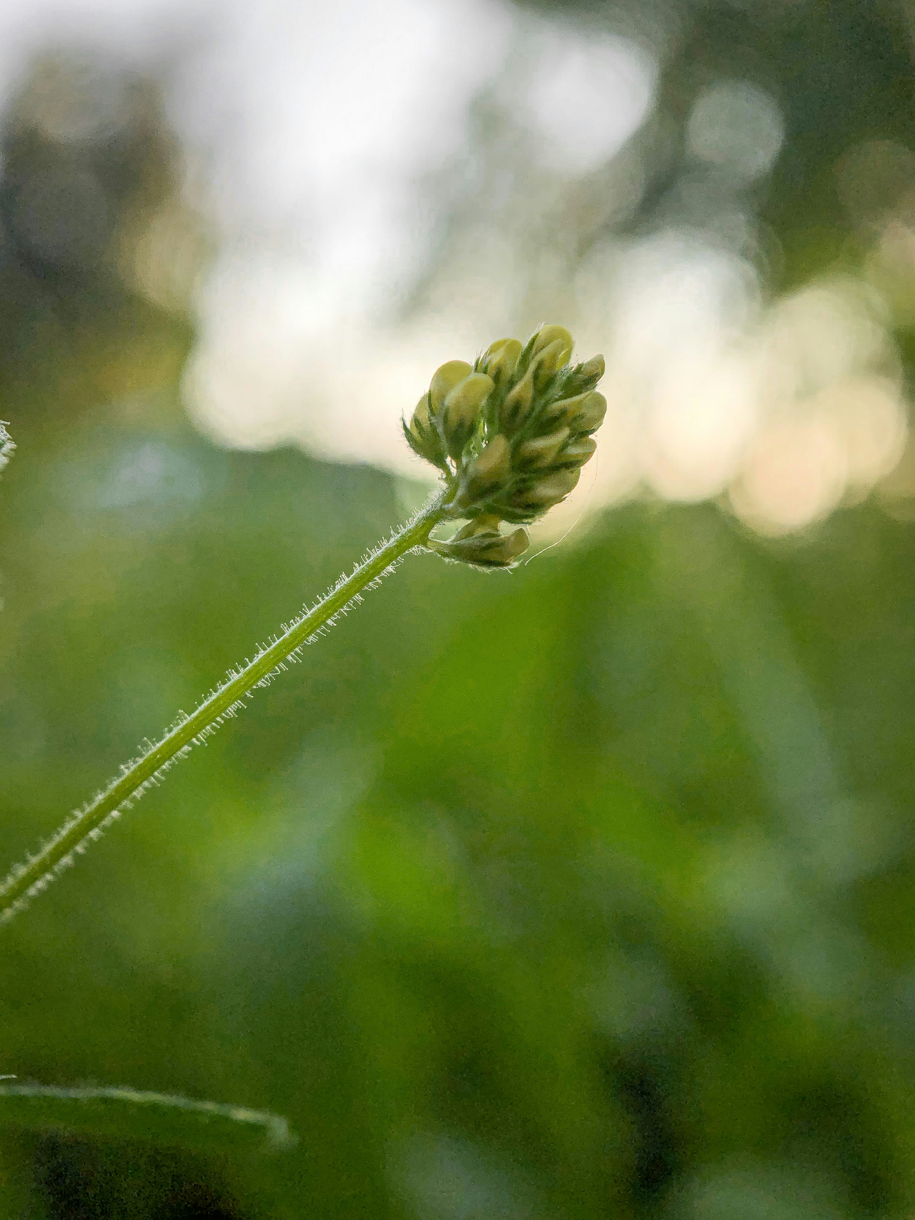 Photo by framesforyourheart