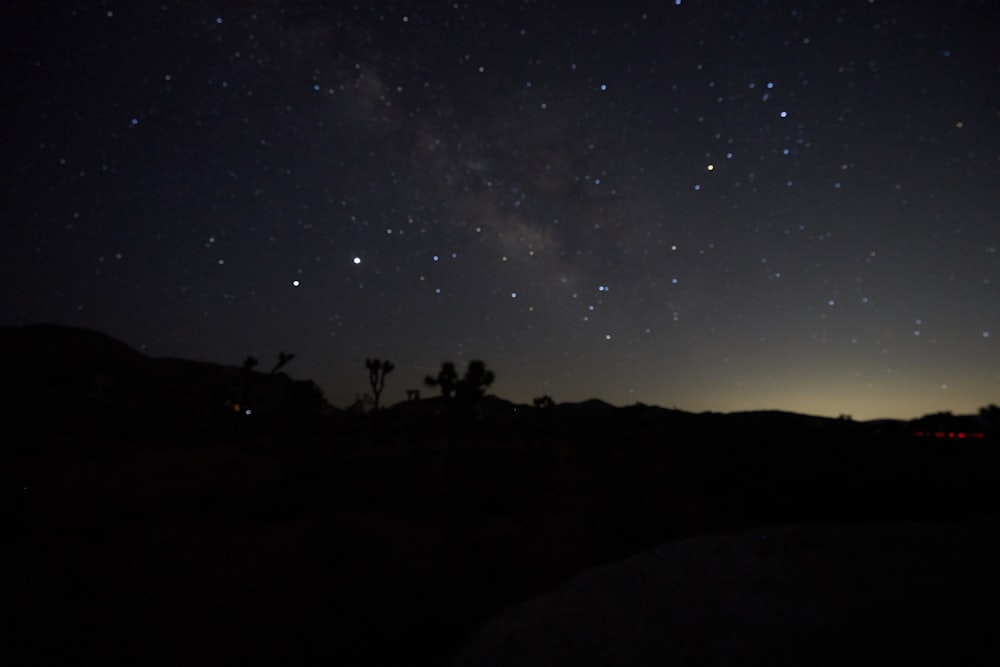 silhouette of people on hill under starry night