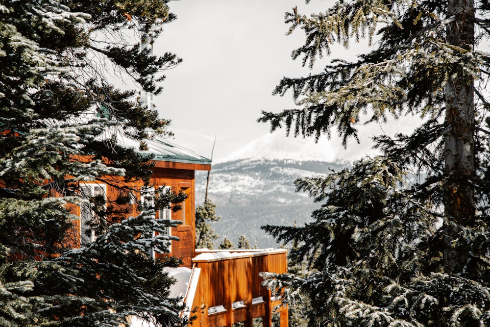 casa di legno marrone coperta di neve vicino agli alberi verdi durante il giorno